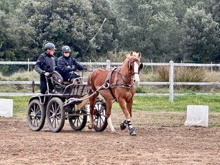 20240310-Uzes-4