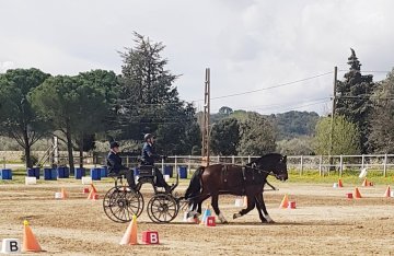 20240310-Uzes-5