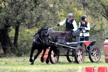 20240921-Concours-de-Parignargues-2