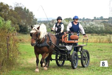 20240921-Concours-de-Parignargues-5-scaled