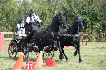 20240921-Concours-de-Parignargues-6-scaled