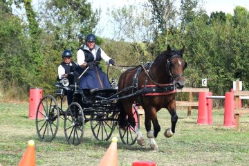 20240921-Concours-de-Parignargues-8