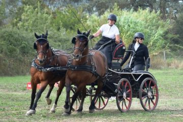 20240921-Concours-de-Parignargues-9-scaled